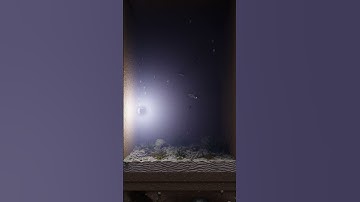 Dynamic Machine Challenge  - #shorts