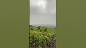 اجمل تلاوه للشيخ ياسر الدوسري ارح سمعك وقلبك قليلاً 🫵🤌🦻❤️‍🩹🫀🍂🌱