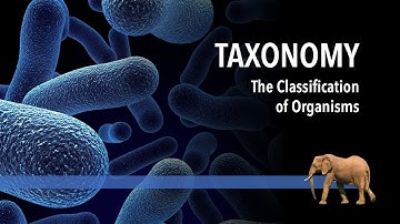 PowerPoint Design for the Virtual Classroom Vol. 1