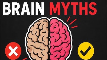 Do We Really Use Only 10% of Our Brain? (Brain Myths Explained)
