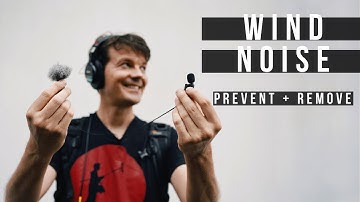HOW TO REMOVE WIND NOISE FOR FIELD RECORDING & VOICE OVER