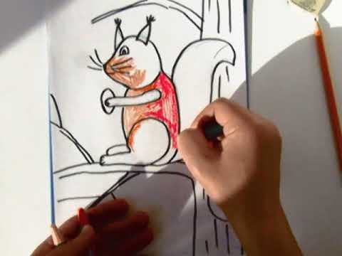 How to Draw a Squirrel Easy/Desenăm veveriță pas cu pas.
