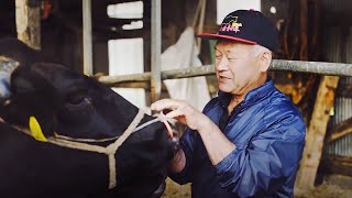 【 GREEN WEB 】北海道NOW_丹精込めて育てた北海道産の牛肉を食べてほしい。〜生産者インタビュー〜