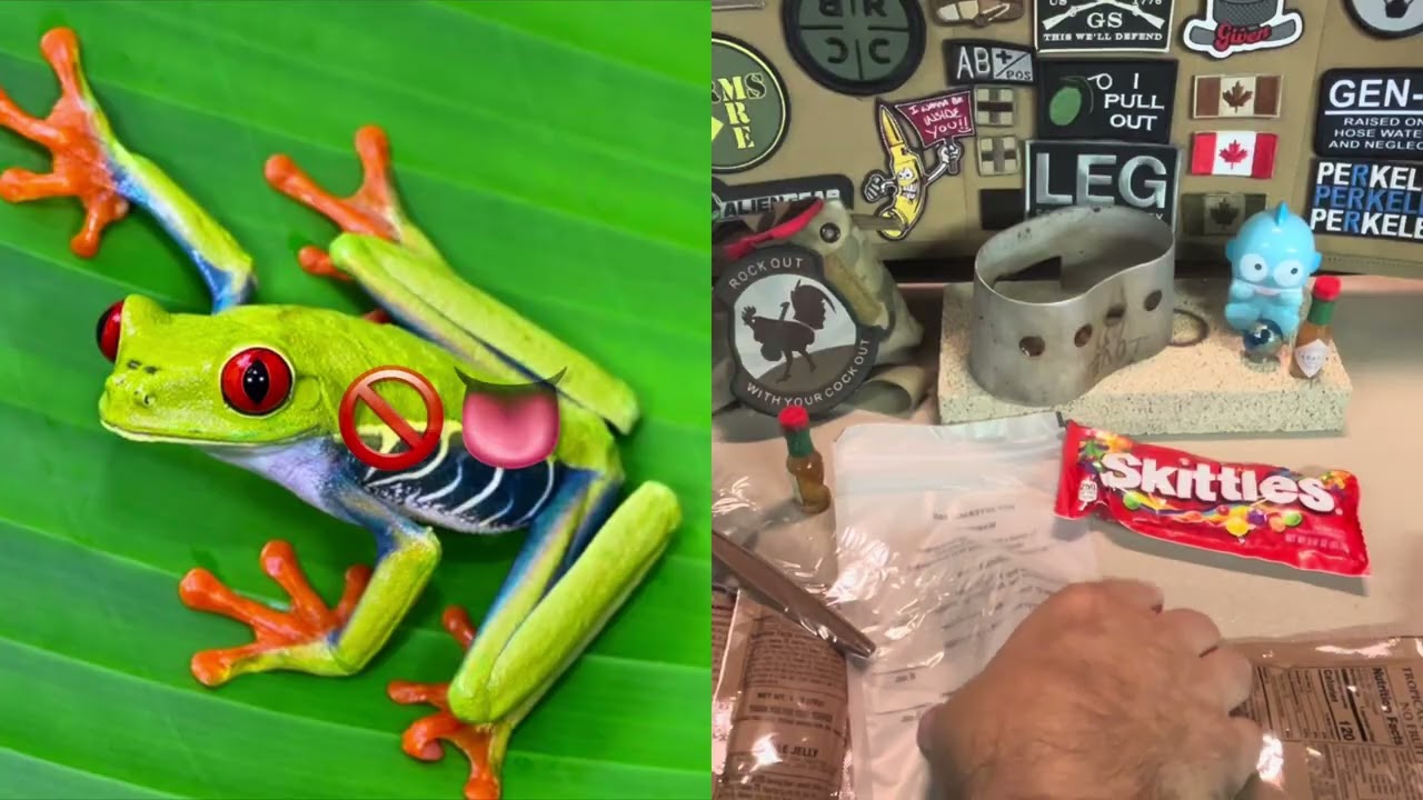 Меню США 2021 MRE 3 курицы, лапша и овощи в соусе 2023 MORE тип II набор для жаркой погоды