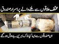 DISCOVERY OF MYSTERIOUS TIME CAPSULES | Urdu Cover