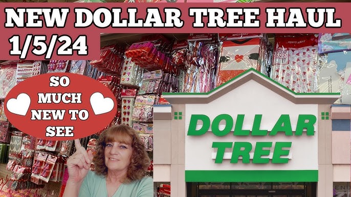 NEW DOLLAR TREE HAUL 🤑 5/5/23 NEW ITEMS 