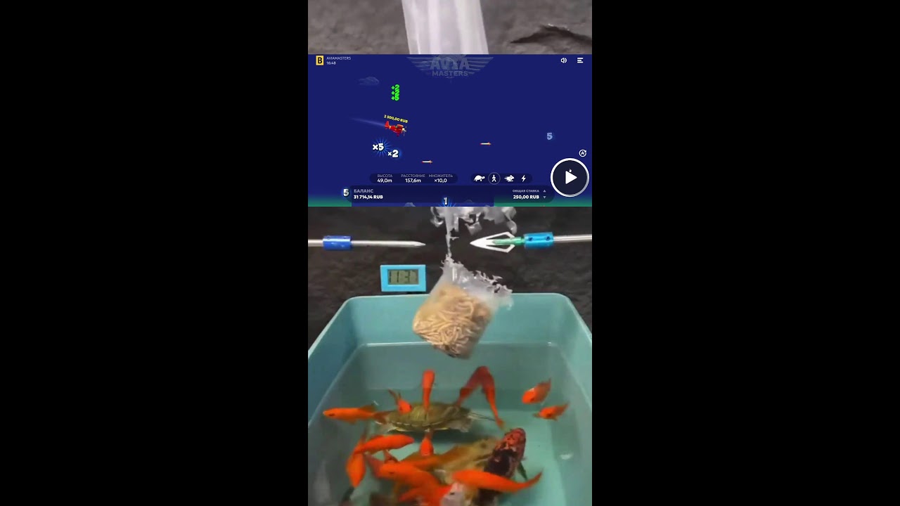 СТРИМ ОНЛАЙН ШОРТС ИГРАЕМ