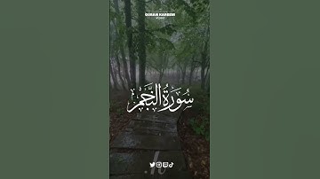 أيات من سورة النجم للقارئ حاتم فريد الواعر 💙