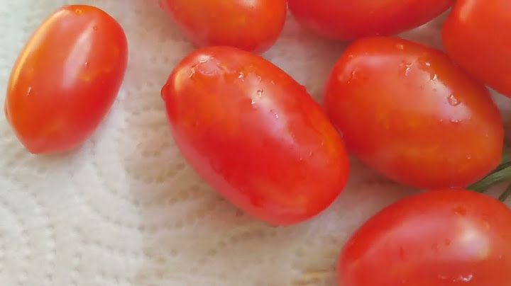 Angela mia crushed tomatoes where to buy