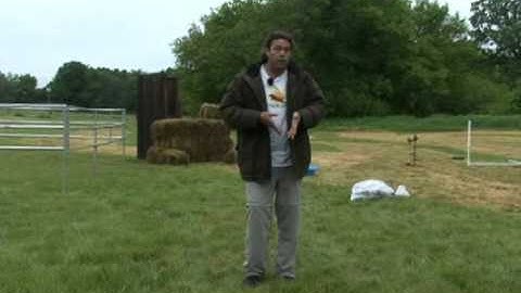 Restrained Recall with Michael Ellis