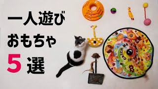 猫が気に入った一人遊びおもちゃを紹介します！