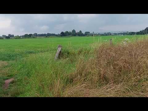 (#87). 🇩🇪GERMANY: Fields