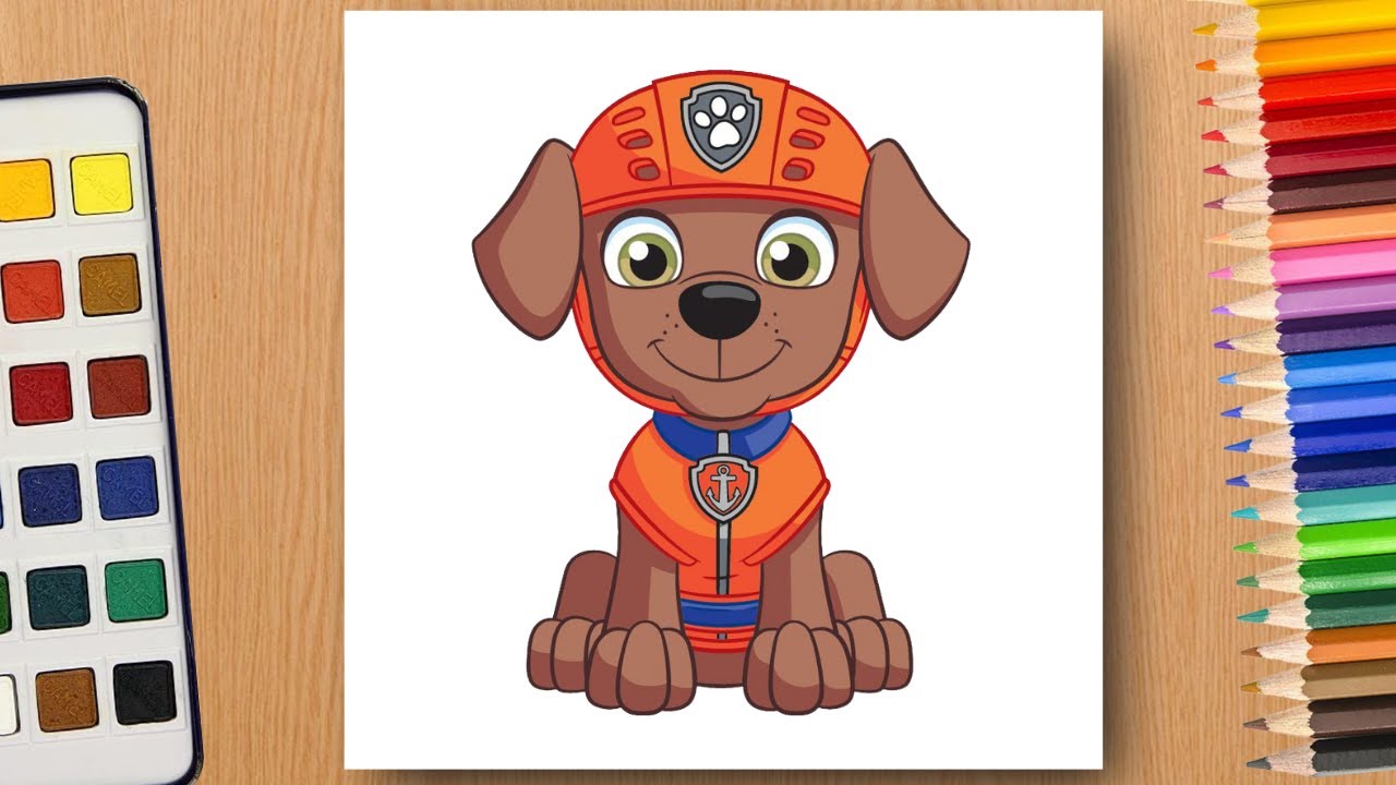 How to draw Zuma from Paw Patrol | Drawing PAW PATROL