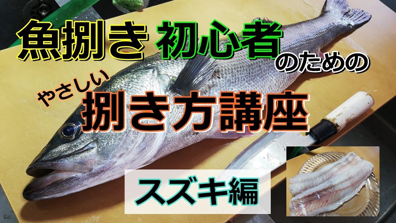 スズキ シーバス のさばき方を初心者向けに解説します 魚屋による捌きかた Youtube