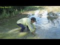 Unique fishing in Growing Rice Season - Man skills​Catching a lot Copper Snake Fish In the field