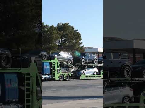 TRUCK SPOTTING SHORTS