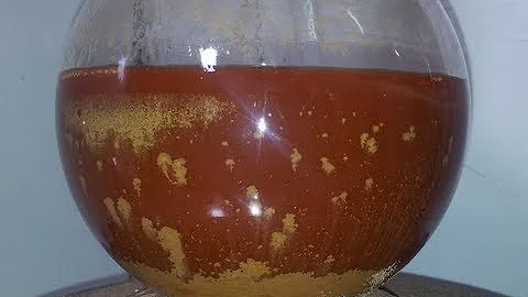 Gold Reduction with Oxalic Acid -Complete Process