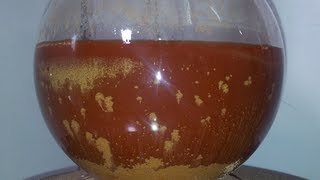 Gold Reduction with Oxalic Acid -Complete Process