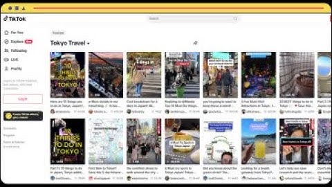 Demo: Instantly extract TikTok channel videos