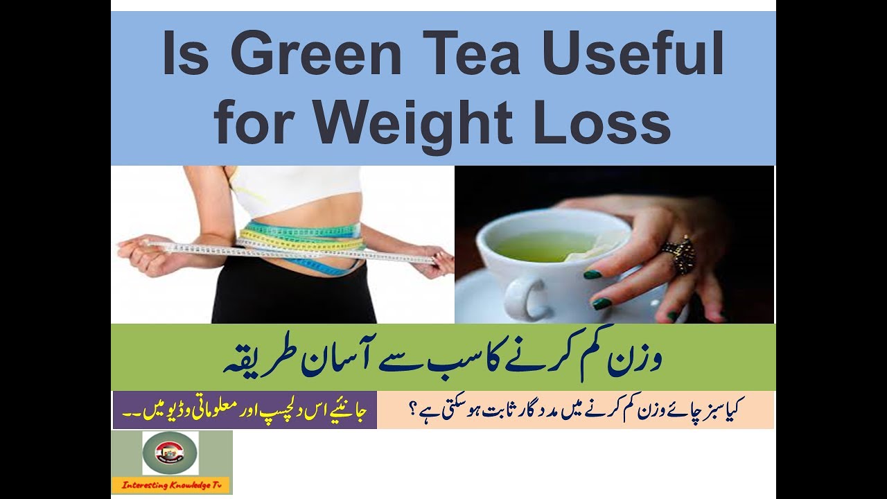"Green Tea and Weight Loss Separating Fact from Fiction" / Is Green