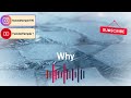 "Why." (Official Visualiser Video)