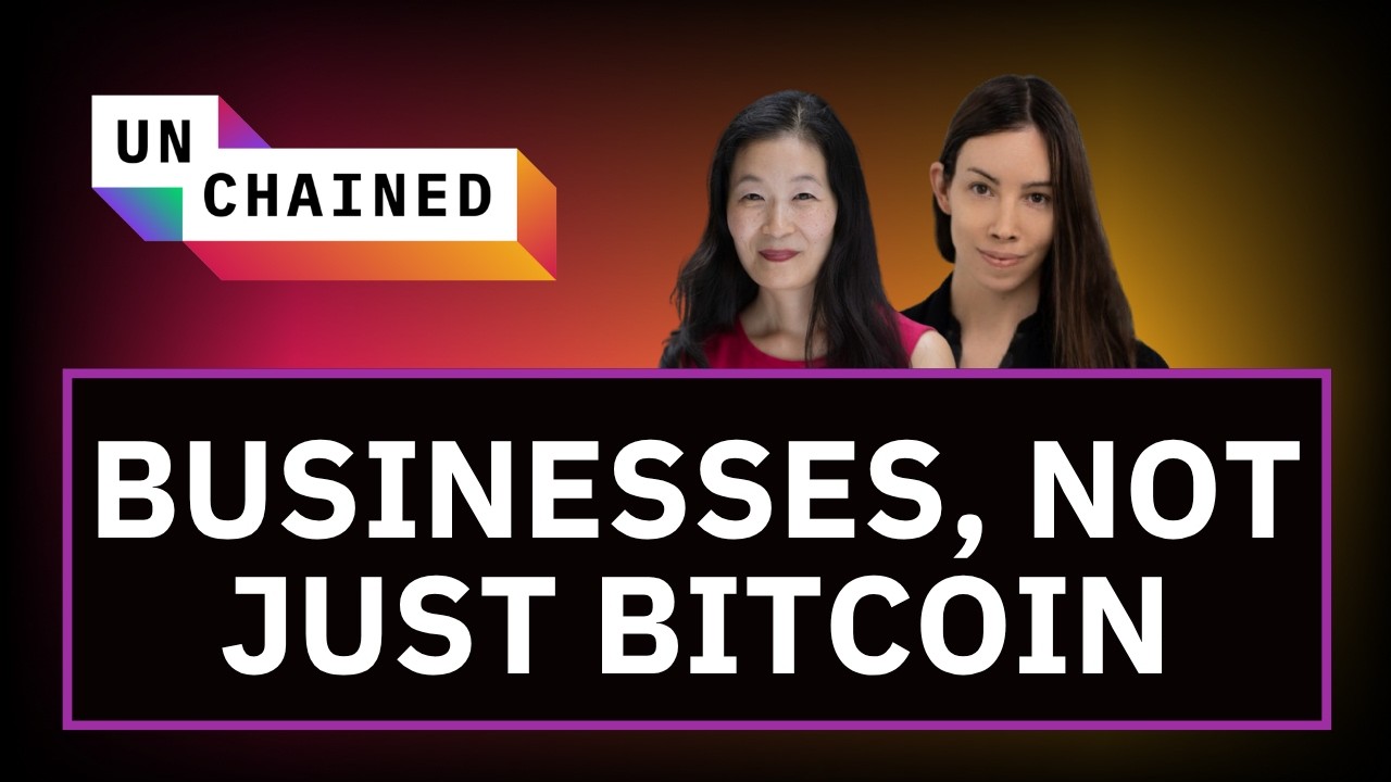 Vignette Lyn Alden on Orange Juice and the Bitcoin Treasury Test