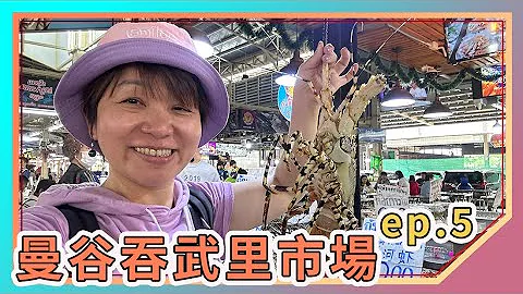 2023泰国旅游ep.5：吞武里市场｜暹罗百丽宫｜在曼谷如何搭公共汽车｜曼谷自由行必玩景点｜龙虾现烤好好吃｜Bangkok｜thailand travel｜darenjackie - 天天要闻