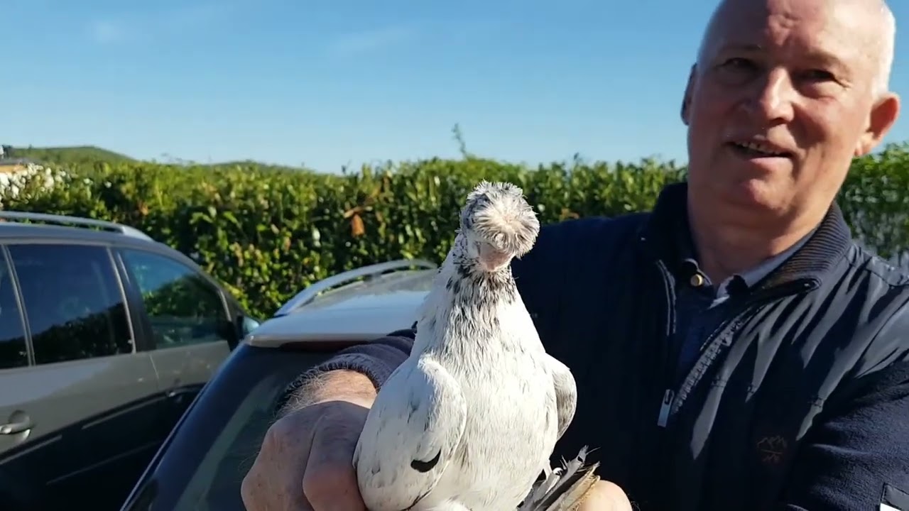 Германия,  г.Weilburg, птичий  рынок 27.04.25 года