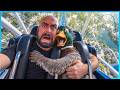 MA CHI ME L'HA FATTO FARE? - Cedar Point