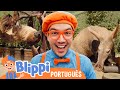 Blippi e os Animais do Zoológico! 🦥 HORA DO BLIPPI BRASIL! 🟠  Vídeos Educativos para Crianças