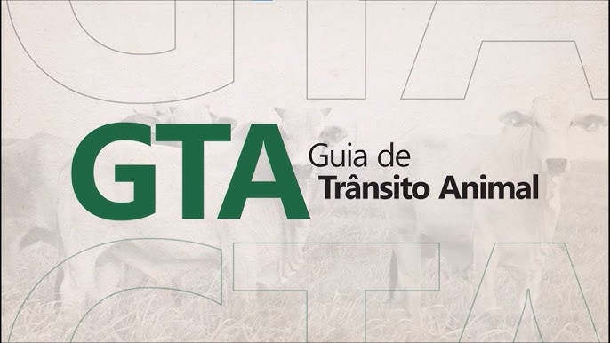 Manhas Do GTA, PDF, Transporte