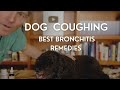 Dog with ongoing cough: Top NEW Remedies