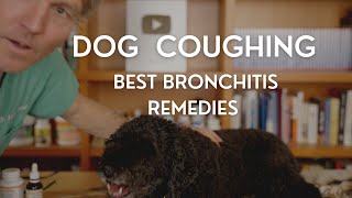 Dog with ongoing cough: Top NEW Remedies