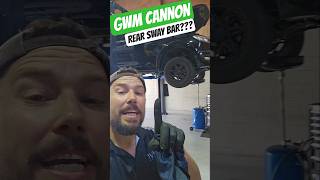 Would you add this to your 4x4? GWM Cannon..#gwm #upgrade #4x4 #offroad #mechanic