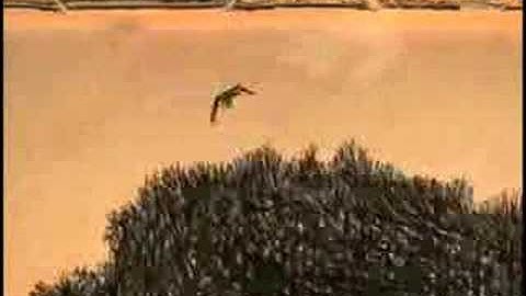 GREEN GRASS OFFICIAL VIDEO - CIBELLE