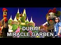 Dubai miracle garden  worlds largest flower garden  over 50m flowers 250m plants  ajay jibala