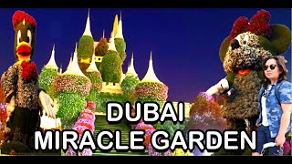 DUBAI MIRACLE GARDEN | WORLD'S LARGEST FLOWER GARDEN | OVER 50M FLOWERS 250M PLANTS | AJAY JIBALA