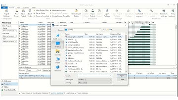 INDD Translation Best Practice