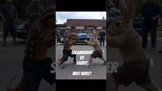 Savage Street Showdown: Salamander vs Rabbit Fight (Epic Animal Battle)