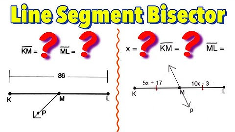 Segment Bisector