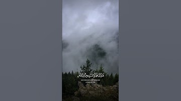 سورة#الإنسان #القارئ #ياسر_الدوسري