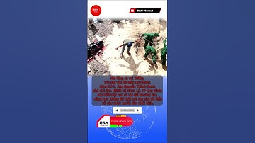 Mai táng cá voi 200kg trôi dạt vào bờ biển Quy Nhơn#shorts #drm #CaVoi #DRMCHANNEL #news #news