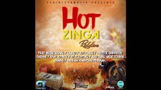 Hot Zinga Riddim Mix (Full, Jan 2021) Feat. Busy Signal, Sadike, Hot Frass, Tanto Blacks, ....