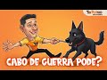 CABO DE GUERRA com o Cachorro: PODE ou NÃO? ❌ 🐶 Como Brincar Certo (Evite Agressividade e Lesões)