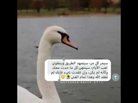 سيمر كل مر آهات