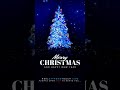 Holiday Greetings - Christmas & New Year 2024 | Real Extreme Touch