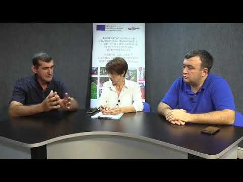 რეგიონში თხილის გაუმჯობესებული მოსავალი და საექსპორტო პოტენციალი