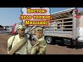 Попали в Белорусскую Сахару... Отправляем машину на Дальний Восток!!! $774