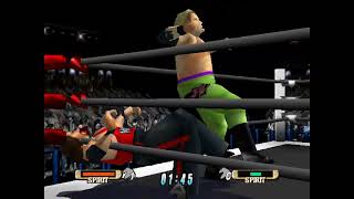 DDP vs Kevin Nash WCW/NWO World Tour