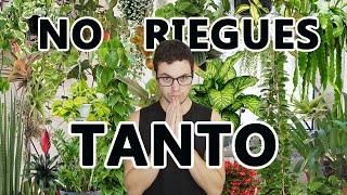 6 COSAS que HACEN los EXPERTOS en PLANTAS